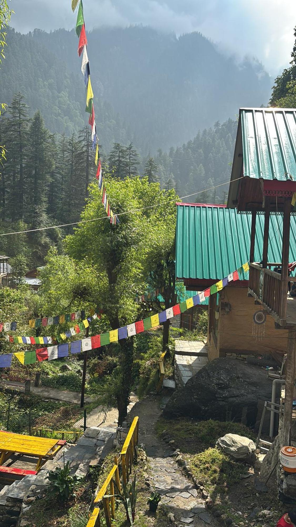 The Cozy Cabin, Jibhi Banjār Esterno foto