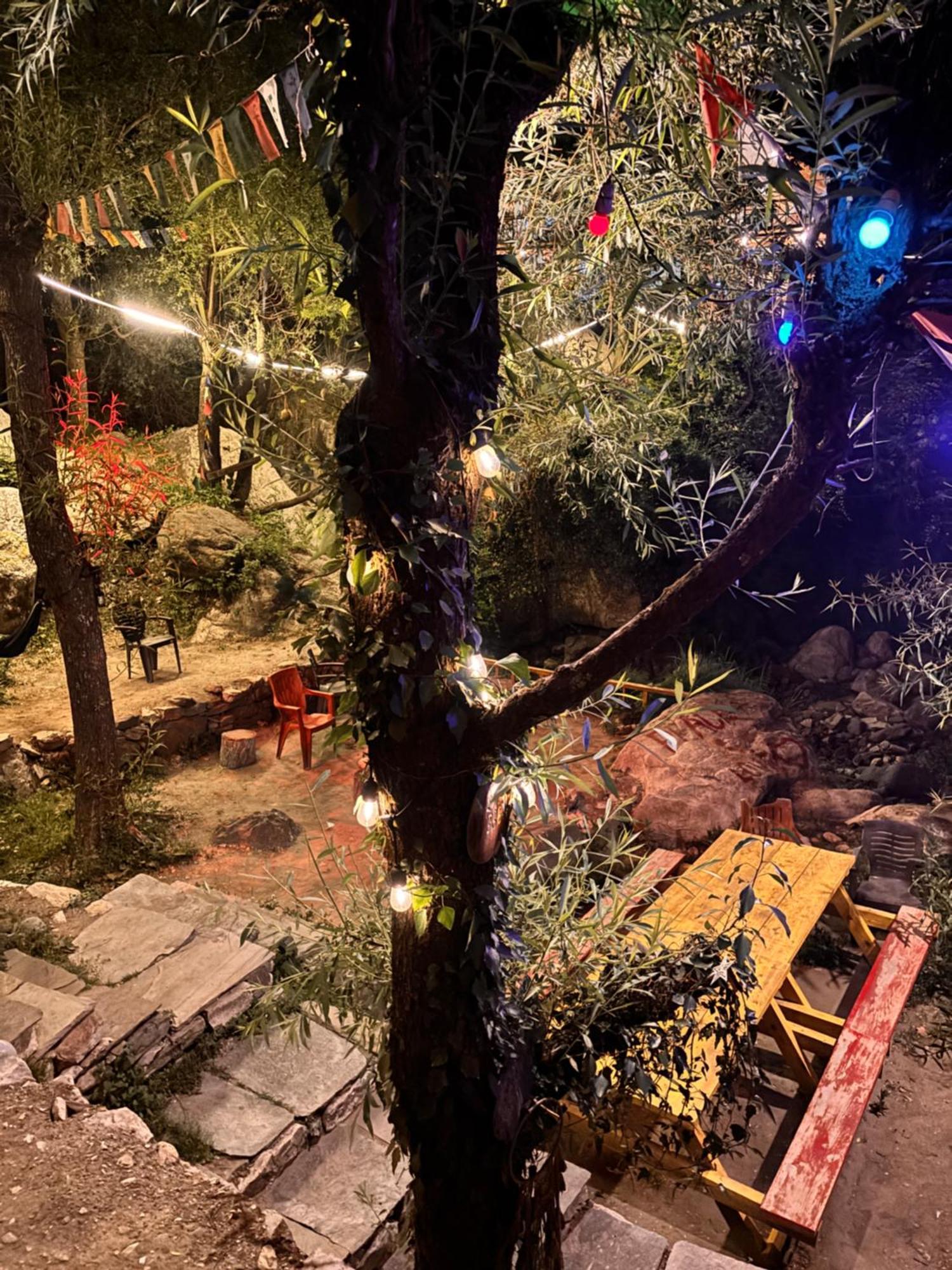 The Cozy Cabin, Jibhi Banjār Esterno foto